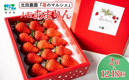 ＜先行予約/数量限定＞苺マルシェ 大粒あまりん 2箱 (12～18粒) 北田農園 | 埼玉県 所沢市 苺 いちご ストロベリー あまりん 甘い 濃厚 おいしい ジューシー 果物 フルーツ 産地直送 フレッシュ 人気 おすすめ デザート お取り寄せ 贈り物