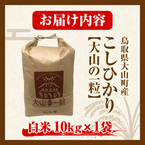 MS-98　大山町産こしひかり【大山の一粒】10ｋｇ（白米）
