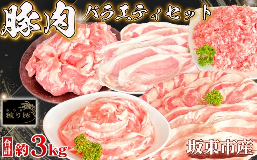 No.841 坂東市産の豚肉バラエティセット　約3kg ／ 背ロース 肩ロース バラ もも 小間切れ ひき肉 うま味 セット 茨城県
