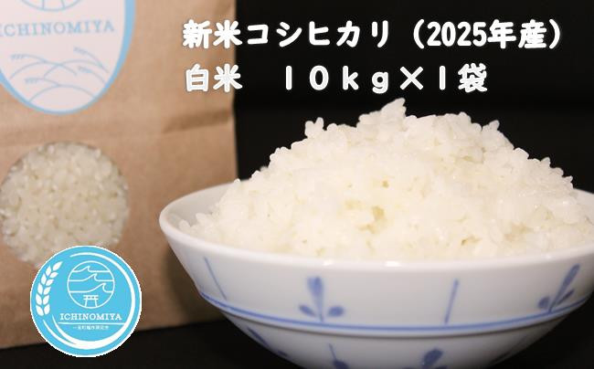 
            千葉県一宮町産コシヒカリ（白米１０㎏）令和７年産米【2025年発送分】　一等米　10kg　１袋　白米　精米　先行予約
          