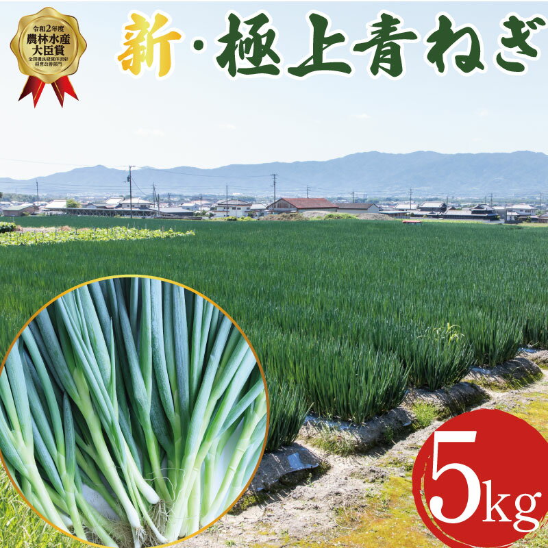 【ふるさと納税】【12月~3月・7月のみ発送】青ねぎ 5kg ネギ 葱 極上 薬味 国産 野菜 うどん ギョーザ 餃子 チャーハン 焼きネギ 徳島 阿波市 新・極上青ねぎ 通常発送 旬 ネギ