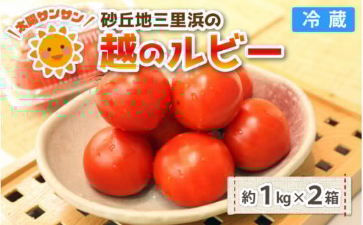 
            【先行予約】太陽サンサン砂丘地三里浜の 越のルビー 約2kg 【2026年6月下旬以降順次発送予定】 [A-8301]
          