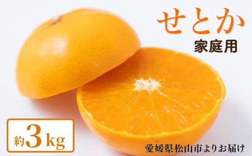 【2027年2月上旬頃から順次発送】せとか 家庭用 約3kg みかん ミカン 柑橘 フルーツ くだもの 果物 青果 果実 人気 甘い ジューシー 産直 産地直送 田中農園