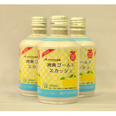 【ふるさと納税】湘南ゴールドスカッシュ　神奈川県産　290ml×24本入り【1749315】