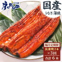 【ふるさと納税】【2ヵ月毎定期便】浜名湖・うなぎのたなかの国産うなぎ長蒲焼2本※1回分180g程度全3回【配送不可地域：離島】【4059977】