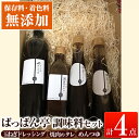 【ふるさと納税】＜保存料着色料・無添加＞ばっばん亭調味料セット計4点(玉ねぎドレッシング2本・焼肉のたれ1本・めんつゆ1本)調味料 ドレッシング サラダ 焼肉のタレ タレ 肉料理 麺つゆ 2倍濃縮 濃縮 そうめん そば 【さつま縫房＆キッチンヌーボー】