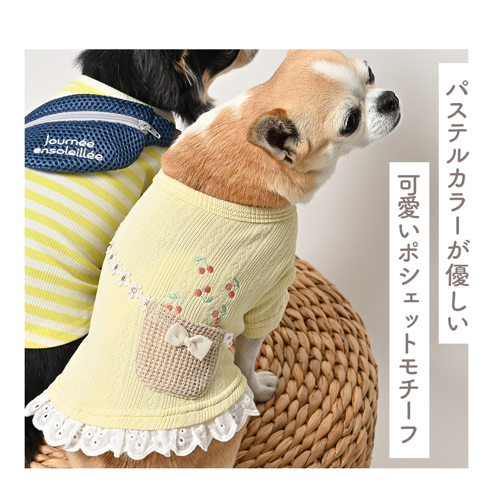 フラワーポシェットTシャツ  イエロー 犬服 (S) 小型犬 春夏 パステル ドッグウェア 【ココアトワ(cocoAtoi)】