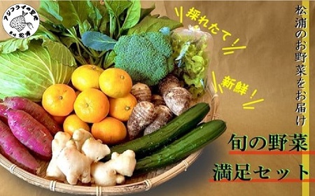 野菜【旬のお野菜大満足セット】【004-0003】