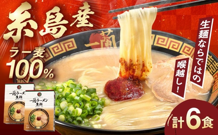 一蘭 ラーメン 生麺 6食