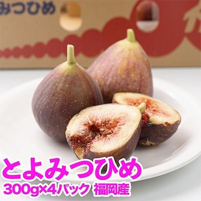 ふるさと納税 宇美町 【宇美】福岡限定!ブランドいちじく「とよみつひめ」約300g×4パック