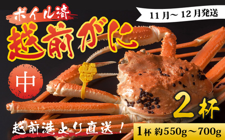 【先行予約】越前港より直送！ 越前がに 中 (約550g～700g) 2杯 ※発送前に在宅確認の電話連絡をいたします!【11月～12月発送予定】ズワイガニ ずわいがに ズワイ蟹 越前ガニ ボイル 刺身 蟹 鍋用 しゃぶしゃぶ 冷蔵 福井県 南越前町 送料無料