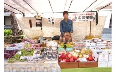 山本果樹園　飛騨高山産完熟サンふじで搾った リンゴジュース 1リットル 瓶6本 ストレートジュース 果汁100％ リンゴ 林檎 りんごジュース  b543 