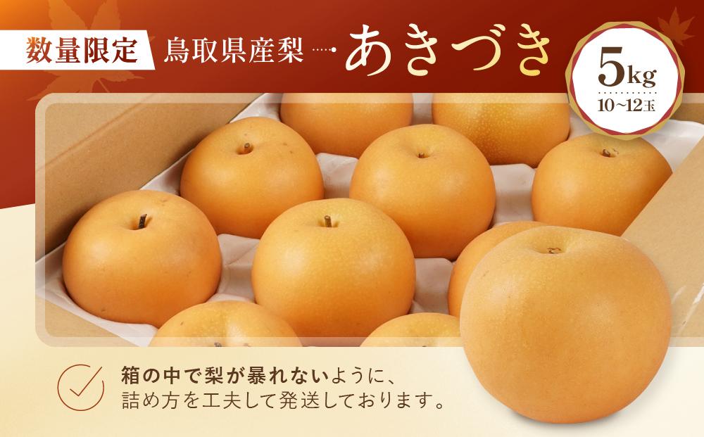 【先行予約】数量限定 鳥取県産梨 あきづき 5kg（10～12玉）