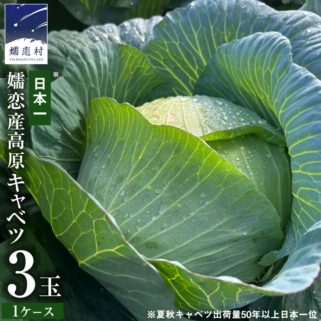 【ふるなびWEEK対象】 ＜レビューキャンペーン開催中＞【7月中旬発送開始】 嬬恋キャベツ 嬬恋産 高原キャベツ3玉1ケース [AS010tu]
