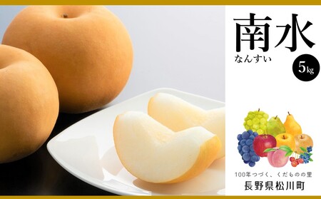 AS02-25A 梨 南水（松川町産）秀品 約5kg ／2025年9月中旬～下旬頃 配送予定 // 長野県 南信州 松川町 和梨 なし ナシ 南水 贈答 農家支援