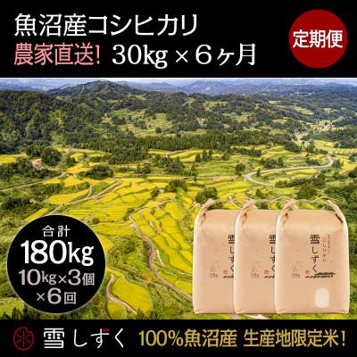 ふるさと納税 十日町市 【毎月定期便】中里地域限定!魚沼産コシヒカリ30kg(10kg×3袋)×6回 合計180kg全6回