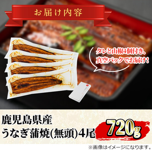 東串良町 うなぎ 蒲焼 (無頭)(4尾・計約720g・タレ、山椒付) 高級 ウナギ 鰻 国産 たれ 鹿児島 ふるさと 人気【アクアおおすみ】【0254352a】