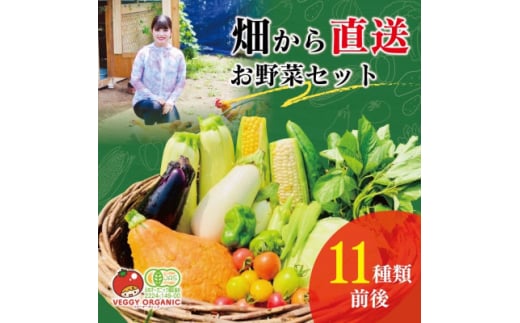 群馬県太田市産　有機JAS認証　新鮮な季節のオーガニック有機野菜　11点前後の詰め合わせセット【1589492】