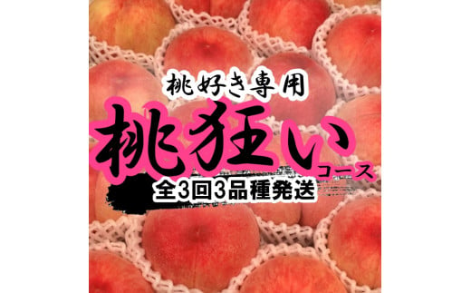 ＜2025年発送分先行予約＞山梨県南アルプス市産　桃狂い　【旬の桃3種】　旬を迎えた順から発送　【定期便　約1ｋｇ　全3回】 ALPAH022