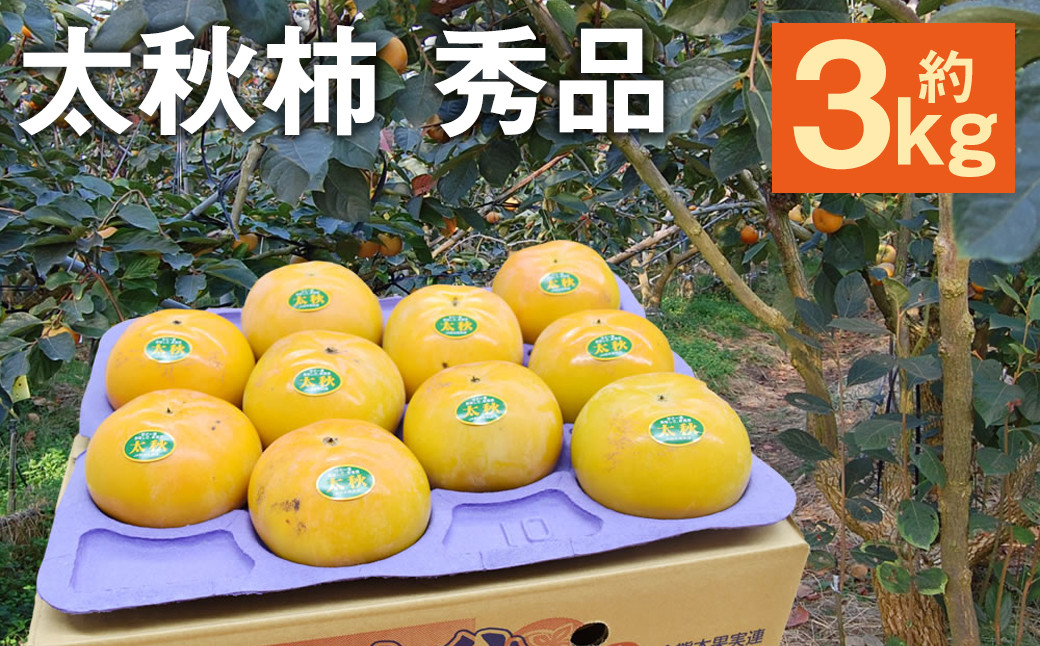 
            太秋柿 秀品 約3kg （約8～14個） 【2024年10月下旬から2024年11月下旬発送予定】 果物 フルーツ 柿 かき 旬 旬の果物 旬のフルーツ
          