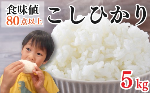 お米 コシヒカリ 5kg 令和8年産 米 こめ ご飯 ごはん おにぎり 白米 食品 備蓄 備蓄米 保存 防災 ギフト 贈答 プレゼント お取り寄せ グルメ 送料無料 徳島県 阿波市 やまさ農園