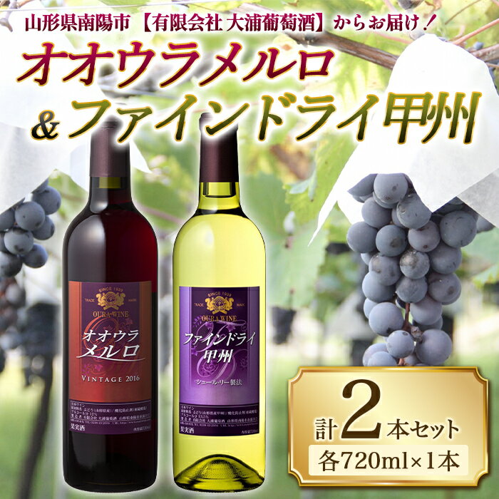 【ふるさと納税】 大浦葡萄酒 オオウラメルロ ＆ ファインドライ甲州 (各720ml×1本) 『(有)大浦葡萄酒』 山形県 南陽市 [1079]