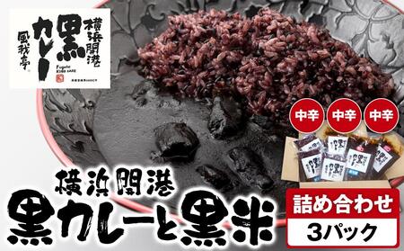 風我亭の横浜開港黒カレーと黒米の詰め合わせ　3パック【中辛3個】 AMK0002VC02