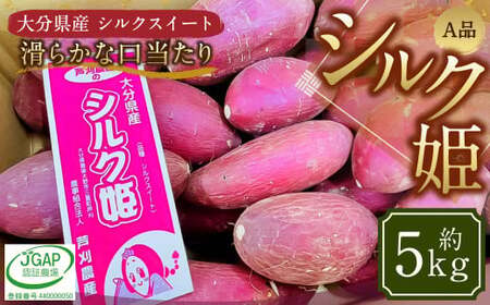 004-1304x1 シルク姫 約5kg（A品） さつまいも いも イモ 芋 シルクスイート 国産 常温 大分県 豊後大野市 【2026年9月上旬-2027年5月下旬発送予定】