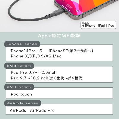 ふるさと納税 海老名市 シリコンケーブル A to L 1m スモーキーブラック(MOT-SCBALG100-BK) |  | 03