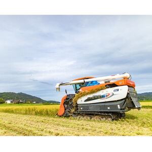 令和7年産新米 特別栽培米「ゆうだい21」精米10kg　京都与謝野町　【伊達農園】　数量限定【1684245】