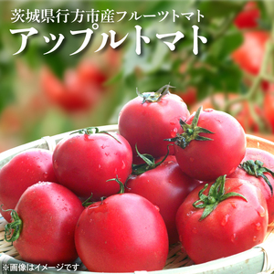 【2025年6月中旬より順次発送】東山農園のアップルトマト　約1.5kg｜トマト とまと 野菜 やさい アップルトマト 新感覚 濃厚 先行予約 フルーツ フルーツトマト 茨城県 行方市 ふるさと納税(FP-1)