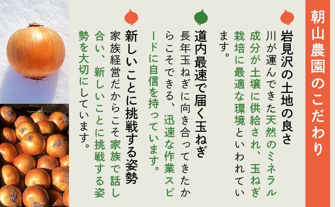 【先行予約】畑から直送の新鮮野菜！玉ねぎ（SN-3）10kg【a168-002】