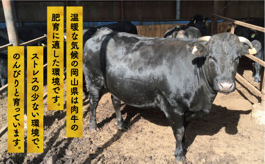 牛肉　備前牛（黒毛牛）ローストビーフ約600ｇ