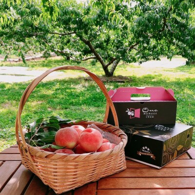 【見逃し厳禁】今逃せば1年待ち4連続TV出演『樹上完熟ブランド桃』2025年7月下旬より発送【配送不可地域：離島・北海道・沖縄県・中国・四国・九州】