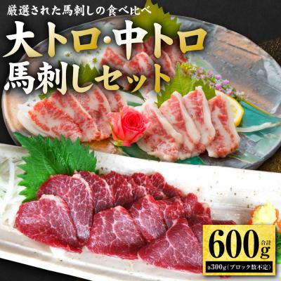 ふるさと納税 八代市 大トロ・中トロ馬刺しのセット 600g (各300g) 馬さし お肉 馬肉 刺身_289-6722