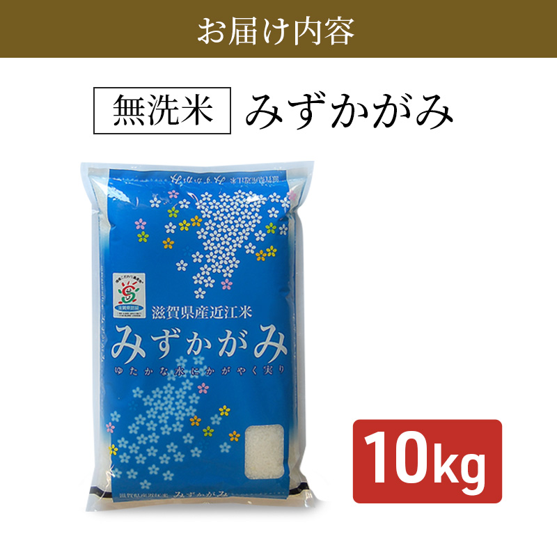 【令和7年産新米】滋賀県産 みずかがみ BG無洗米 10kg 無洗米 お米 こめ おこめ 白米 2025年9月下旬より順次出荷