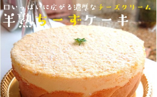 ポールリカールのくにさき半熟ちーずケーキ_1164R