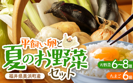 【先行予約】お野菜セット 旬の夏野菜と平飼い卵のお楽しみボックス【2026年7月上旬以降順次発送予定】 [m75-a002]
