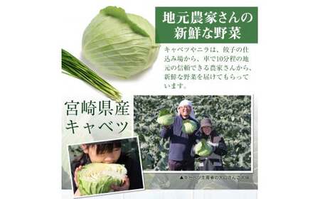 【TV番組で餃子日本一獲得!】 馬渡のもっちり 餃子 手羽餃子 国産 小分け 肉 人気