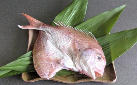 明石天然鯛姿味噌漬（切り身対応可） 魚貝類 漬魚 味噌漬け タイ 丸ごと 簡単調理 上質  切り身