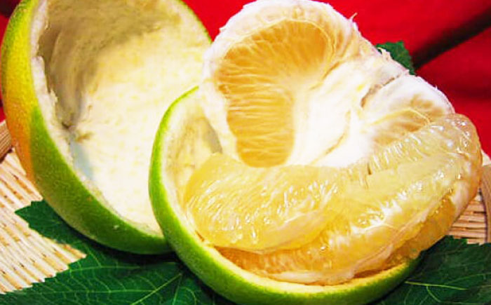 南国土佐の女王柑橘 水晶文旦 約3kg 7玉入り〈2025年9月中旬〜2025年12月下旬頃発送〉/ 文旦 ぶんたん フルーツ 果物 3キロ 高知県 【フルーツショップオザキ】 [ATAH006]