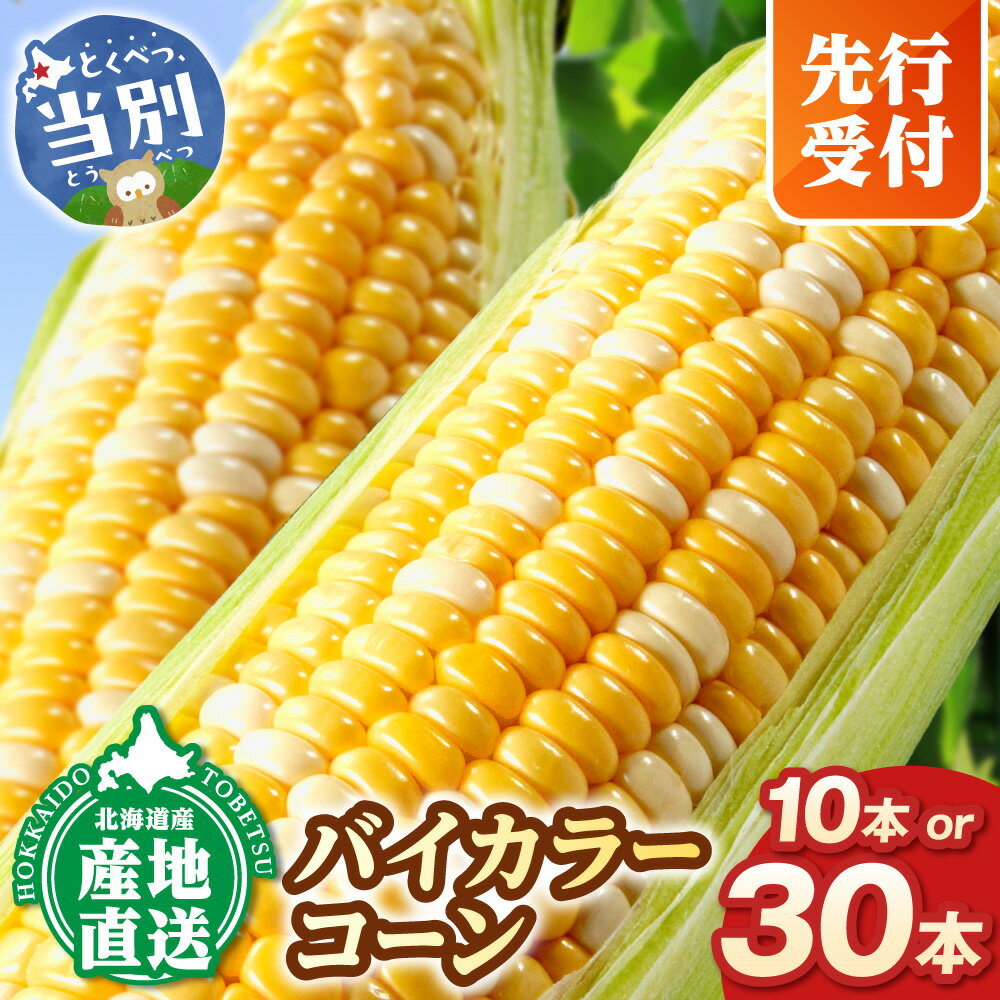 【ふるさと納税】【2026年先行予約】照之家商店鮮度抜群 とうもろこし「黄色と白粒のバイカラーコーン」30本 10本 選べる《2026年8月上旬-9月中旬頃出荷》