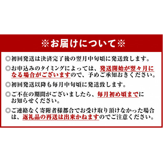 オロナミンC 50本 ( 1ケース ) 定期便 2回お届け 計100本　【大塚グループ発祥の地】 オロナミンC 定期便 120ml 炭酸飲料 栄養ドリンク オロナミンC 定期便 瓶 大塚製薬 炭酸飲料