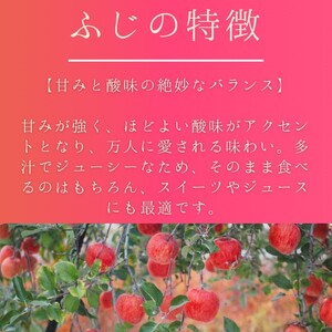 秋田県産 りんご ふじ 訳あり 約10kg 家庭用【BARUバイオジャパン吉村(株)】[H4-9901]