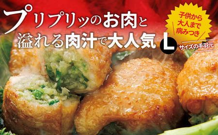 餃子 手羽先 3種セット 餃子