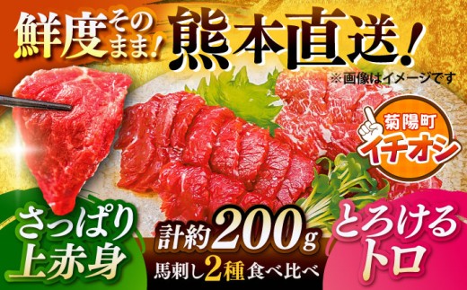 馬刺し こだわり 2点盛り 赤身馬刺し トロ馬刺し 各100g（醤油・生姜付き）計200g / 熊本馬刺し 馬刺 馬刺し ばさし バサシ 馬肉 赤身馬刺し 醤油付き 生姜付き 熊本 くまもと 菊陽町【