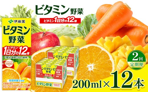 
            【定期便2回】紙ビタミン野菜200ml  12本入り 伊藤園   | 野菜 フルーツ ジュース ドリンク 飲料 健康 食品 砂糖 食塩 不使用 長期常温可能 1ケース 長野県 松本市 ふるさと納税
          