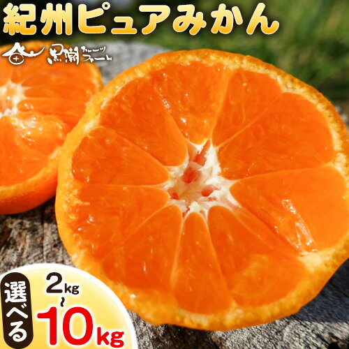 【ふるさと納税】紀州ピュアみかん100 選べる 内容量 約2kg 約3kg 約5kg 約10kg※重量には箱の重量も含まれております※ 黒潮フルーツファーム《2025年11月下旬-12月下旬頃出荷》和歌山県 紀の川市 みかん フルーツ 果物