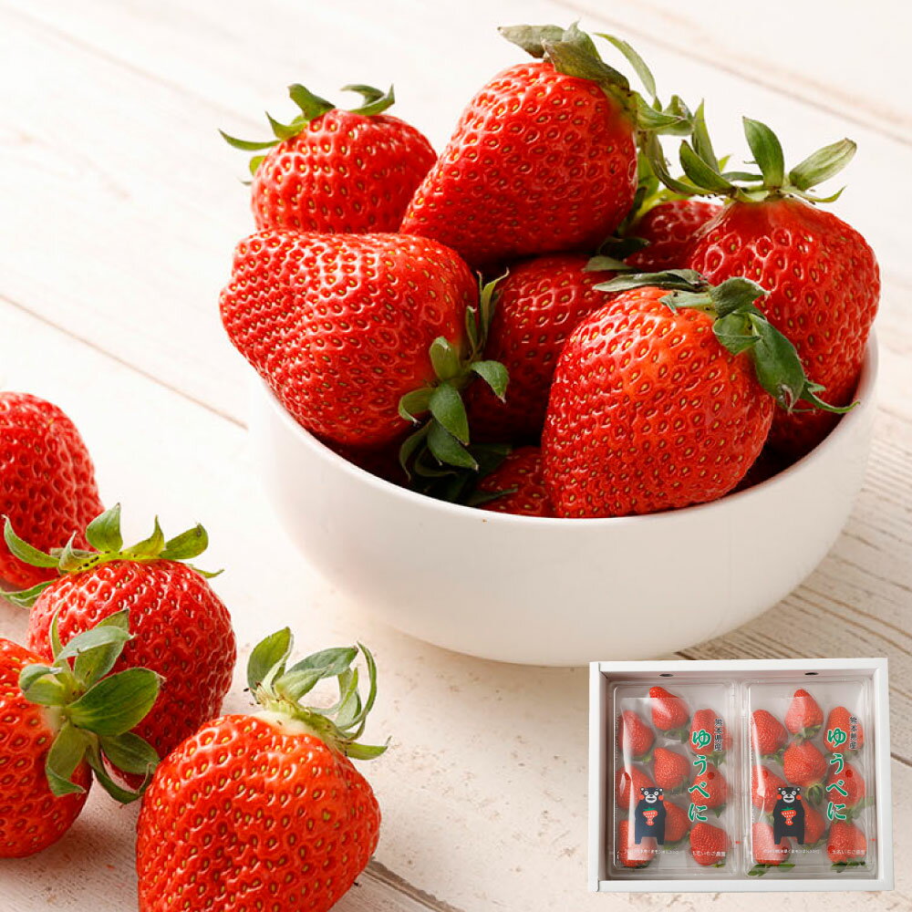 【ふるさと納税】熊本県産 いちご ゆうべに 2パック 約500g 約12～22個 果物 フルーツ 苺 イチゴ 旬 冷蔵 九州 熊本県 送料無料 【2026年1月上旬発送開始】