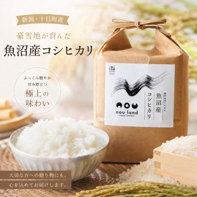ふるさと納税 十日町市 【毎月定期便】魚沼産コシヒカリ精米2kg全12回